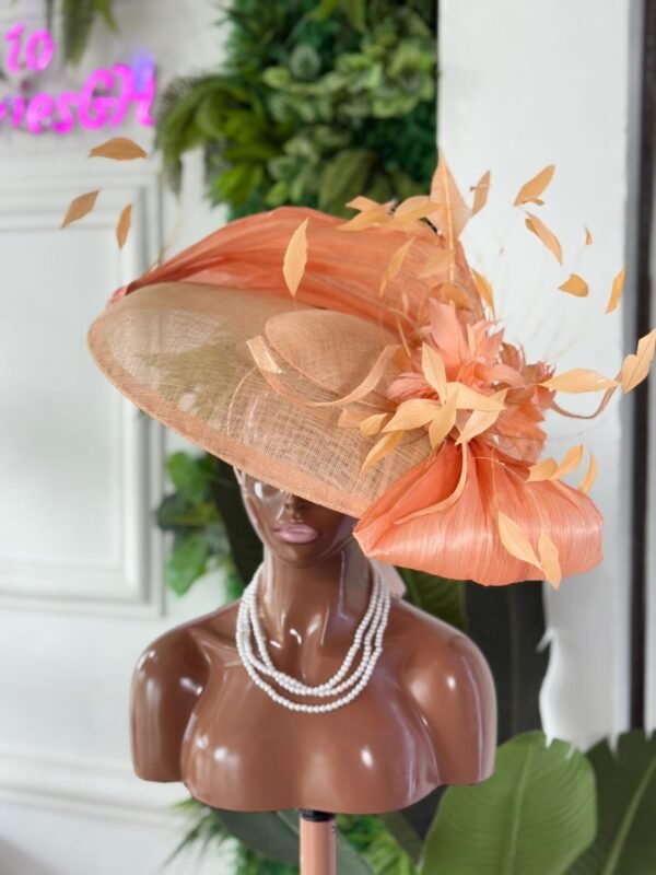 PROGRESS HAT